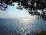 земельный участок в Сочи, Адлер, Мирный, 6 сот ИЖС у моря!