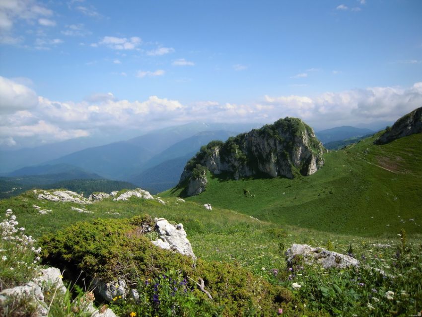 Майкопский заповедник